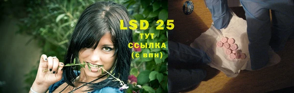 молекула духа Горнозаводск