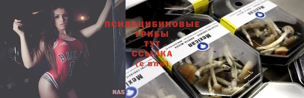 герыч Вяземский