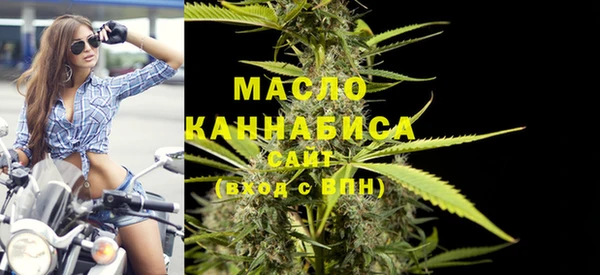 молекула духа Горнозаводск